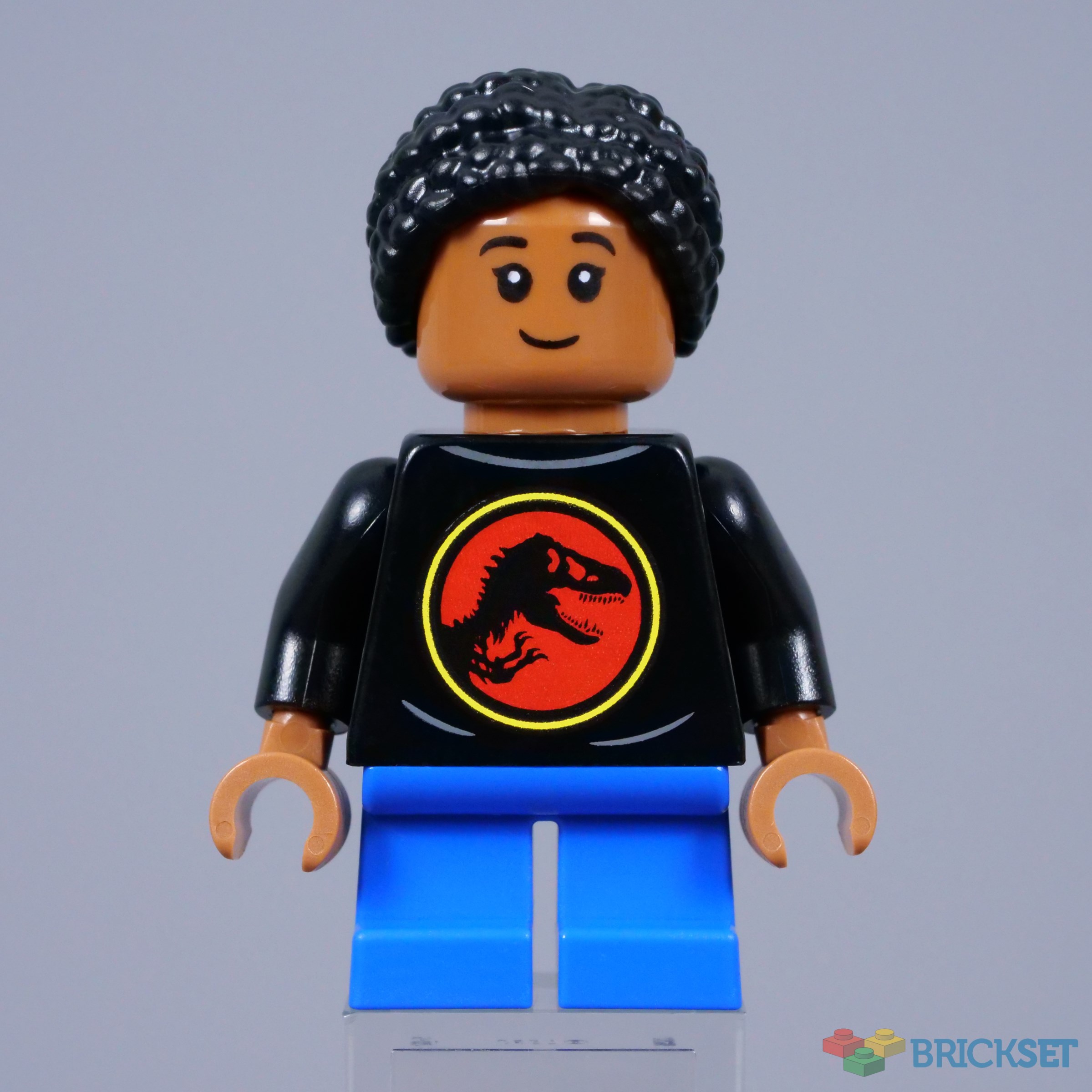 D FORCE VS-50　00X Lego 76969 Jurassic World Dinosaur Fossils: Triceratops